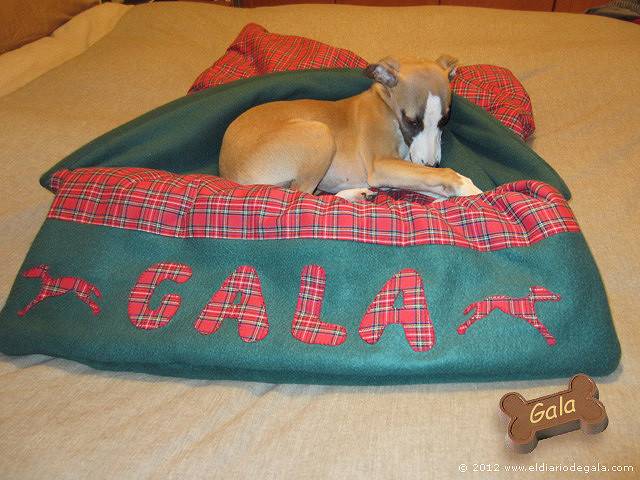 El Diario de Gala