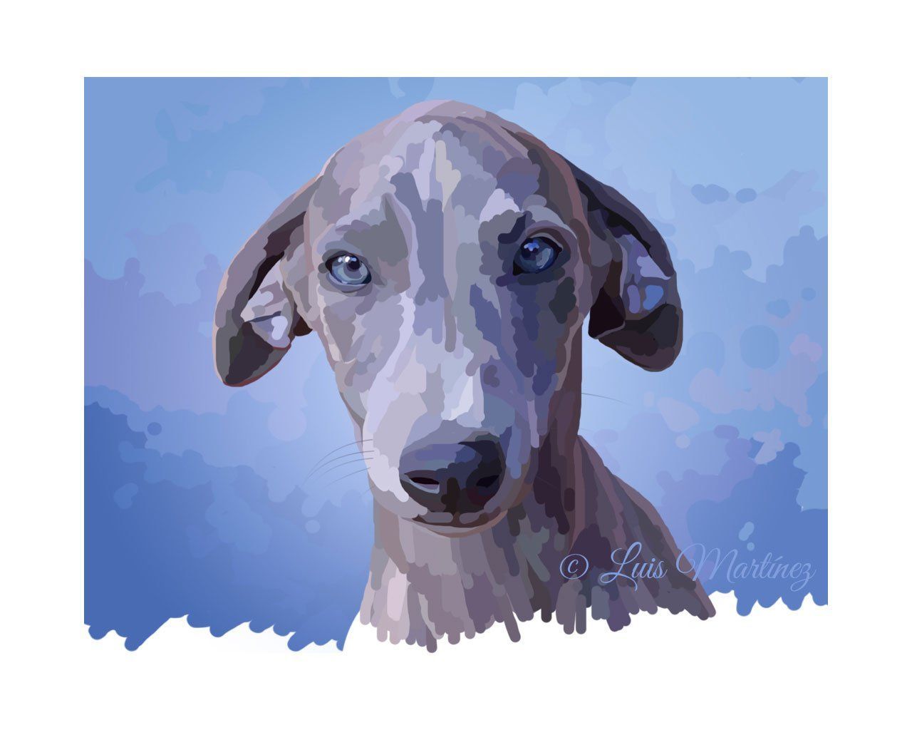 whippet_azul